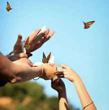 Butterfly Release - Monarchs